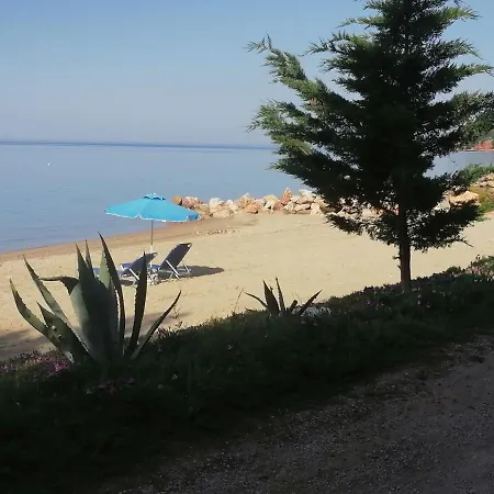 Porto Almira Beachfront *